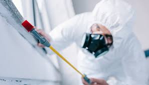 Best Pest Prevention Services  in Fennville, MI